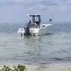 Bobby Roy66 - @bobby.roy66 - TikTok