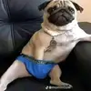 Bob Ruiz - @bob.ruiz3 - TikTok