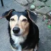 Bob Russ - @bob.russ - TikTok