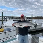 bob russo - @bobrusso4145 - Instagram