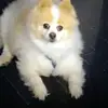 ZOOBIE DOOBIE - @bobrussell666 - TikTok