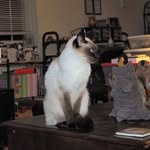 Bob Ruth - @bobr2525 - Instagram