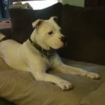 Bob Sabol - @rsabol069.bs - Instagram