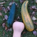 Bob saggot - @bobsaggot6905 - Instagram