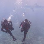 Bob Salas - @bob.salas - Instagram