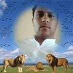 Salhi Bob - Facebook