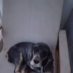 Bob Samson - @skipperbob1 - Instagram