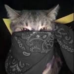 Bob samson III - @bob_the_thirda - Instagram