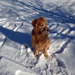 Bob Sandberg - @sandberg422 - Instagram