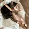 Bob & Sandy - @bob.sandy1 - TikTok