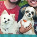 Bob (lhasa) e Sandy (spitz) - @bob.sandy_os.dogs - Instagram