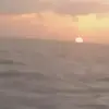 Bob Sandy - @bob.sandy3 - TikTok