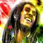 Bob Sandy - @_bobsandy - Instagram
