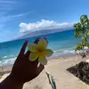 bri - @bsantella - TikTok