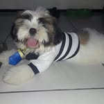 Bob Nogueira dos Santos - @bobsantos_ - Instagram