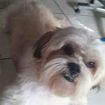 Bob_santos - @bob__santos_nogueira - Instagram