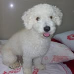 Bob santos - @bobsantos6653 - Instagram