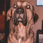BOB Santos - @bob._.santos - Instagram
