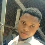 Bob Saylors - @bob.saylors - Instagram