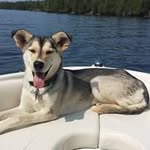 Bob Scales - @bobscales67 - Instagram