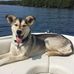 Bob Scales - Facebook