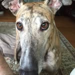 Bob Schramm - @rjschramm - Instagram