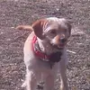 Bob Schramm - @bob.schramm - TikTok