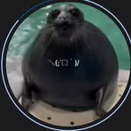 Bob Seal - Facebook