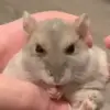 Bob Sells - @bob.sells - TikTok