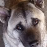 Bob Sewell - @bob.sewell.3 - Instagram