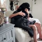 Bob sewell - @bobsewell8 - Instagram
