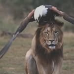 Rob Sewell - @rob_sewell20061977 - Instagram
