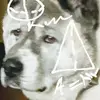 bobbyshafto757 - @bobbyshafto757 - TikTok