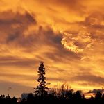 Bob Shields - @living_hear_now - Instagram