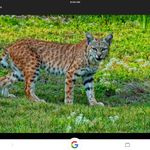 Bob Shields - @shields1686 - Instagram