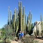 Robert Shields - @bob.shields.315 - Instagram