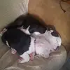 bobshirley21 - @bob.shirley39 - TikTok