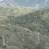 s - @bobshirley11 - TikTok