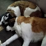 Bob Shoemaker - @bob.shoemaker.796 - Instagram