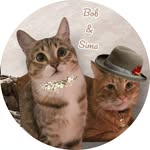 Bob&Simona - @bob.pirozok - Instagram