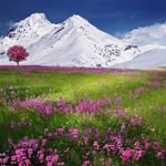 Bob Simonton - @bob.simonton - Instagram
