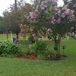 Bob N Frances Singleton - @bobnfrances - Instagram