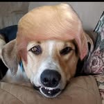Bob Singleton - @singleton7251 - Instagram