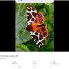 user8399984050868 - @bobski2011 - TikTok