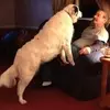 bobslater393 - @boblar393 - TikTok