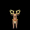 sillycanbob - @bobcansmooth - TikTok