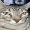 Bob Snider - @jonathanronathan234 - TikTok