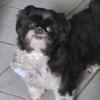 bob..soares - @bob..soares - TikTok