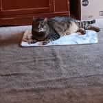 Bob South - @bobsouth4 - Instagram