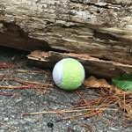 Bob Escamilla Speck - @bob_tennis_ball - Instagram